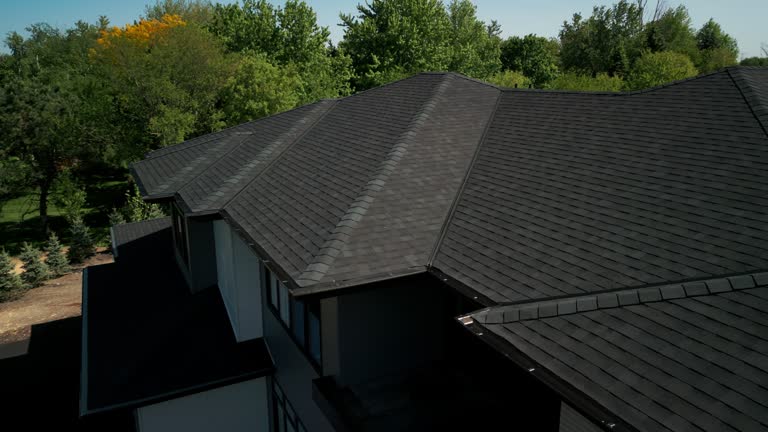 Best Metal Roofing Installation  in Lester Prairie, MN